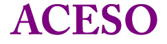 Aceso Institute of Health Professions