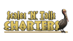 Scales 'N' Tails Charters of Nokomis & Venice Florida