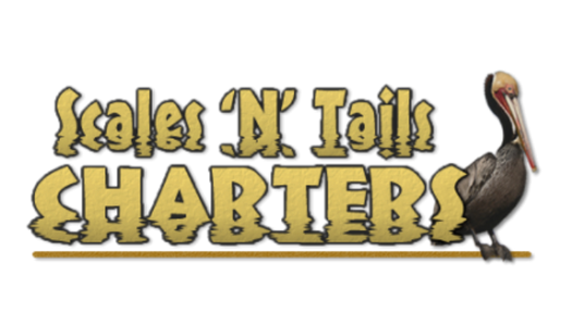 Scales 'N' Tails Charters