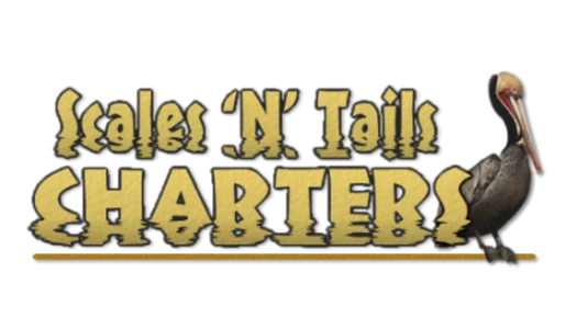 Scales 'N' Tails Charters of Nokomis & Venice Florida