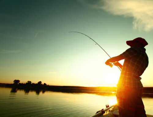 Top Ways to Promote Your Fishing Guide Services Online