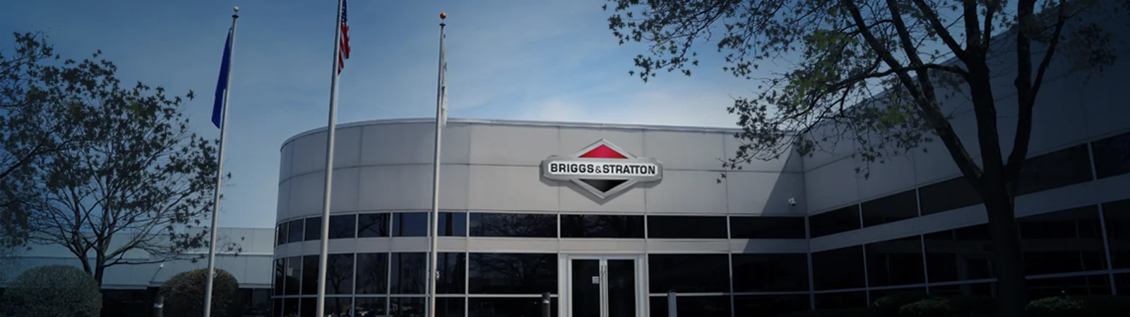 BAS AboutBriggs Banner